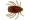 LureMax DUNG BUG 1''/3 см, LSDB1-05-003 Motor Oil (5шт)