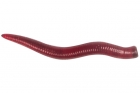 LureMax CURLY WORM 2,5''/3,5см, LSCL25-019 Blood Red (20 шт.)